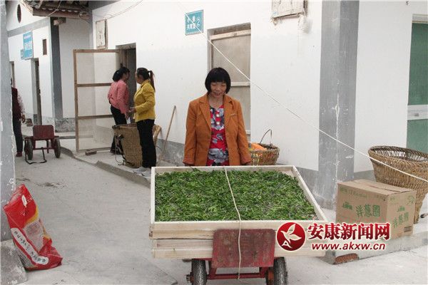 �Q�r(n��ng)���������簴Ʊ�I(l��ng)ȡ�Q�N����С�Q������ρ�Qٝ���^�� (2).jpg