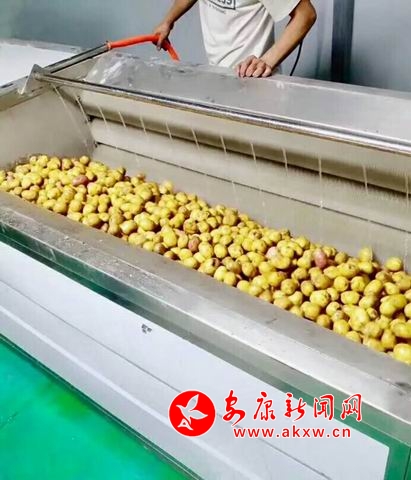 �{����С 1.jpg