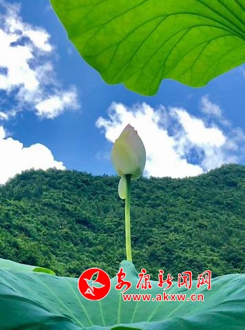 調整大小 微信圖片_20180723112425.jpg