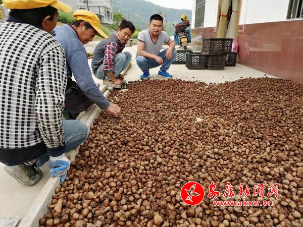 �{����С ΢�ňDƬ_20190417105249.jpg