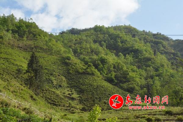 �{����С DSC_9602.JPG