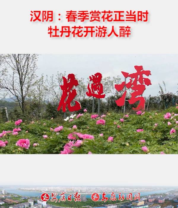 hꎿhP(gun)(zhn)һ廨ĵ@10fĵѸ(jng)_
